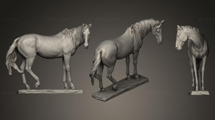 Статуэтки животных (Скульптура лошади, STKJ_0319) 3D модель для ЧПУ станка